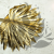Palm SUN Gold Palma suszona złota1.png