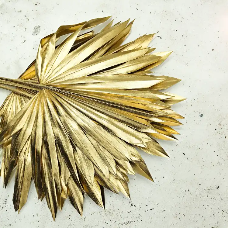 Palm SUN Gold Palma suszona złota1.png