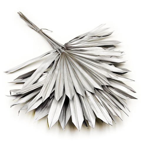 Palm SUN Silver Palma suszona srebrna okl.png