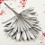 Palm SUN Silver Palma suszona srebrna4.png