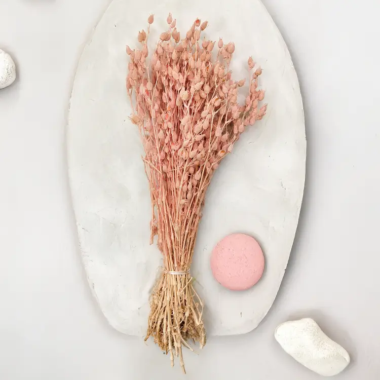 Silene lepnica rozdęta suszone rozowa 2.png