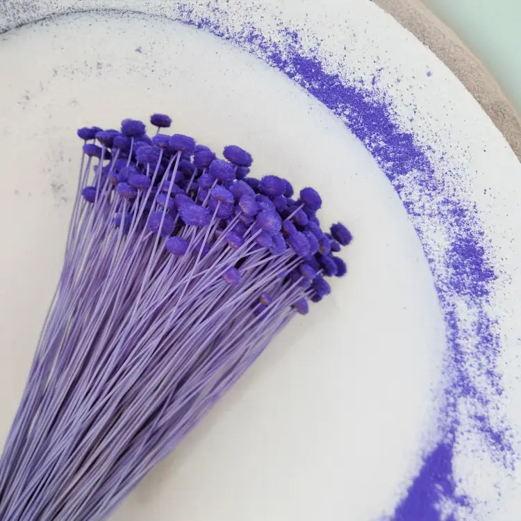 Amarelino Botao Głęboki Lawendowy Fiolet 4.png