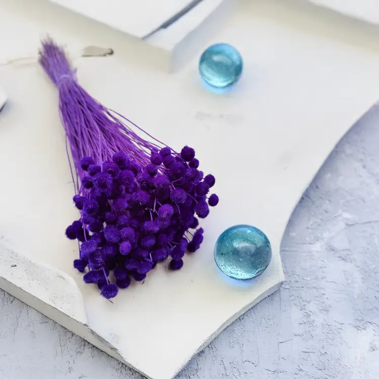 Amarelino Botao Fiolet królewski 2.png