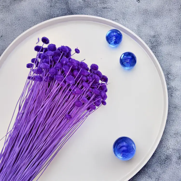 Amarelino Botao Fiolet królewski 3.png