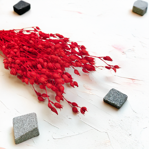 Silene suszone czerwone lepnica rozdęta zbl1.png