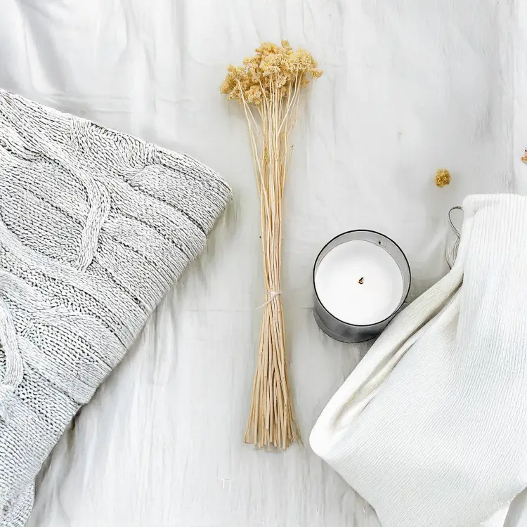 Krwawnik achillea suszony bielony zbl.png