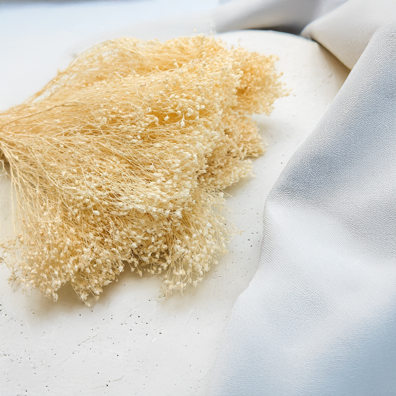 Broom Bloom Bielone zbl1.png