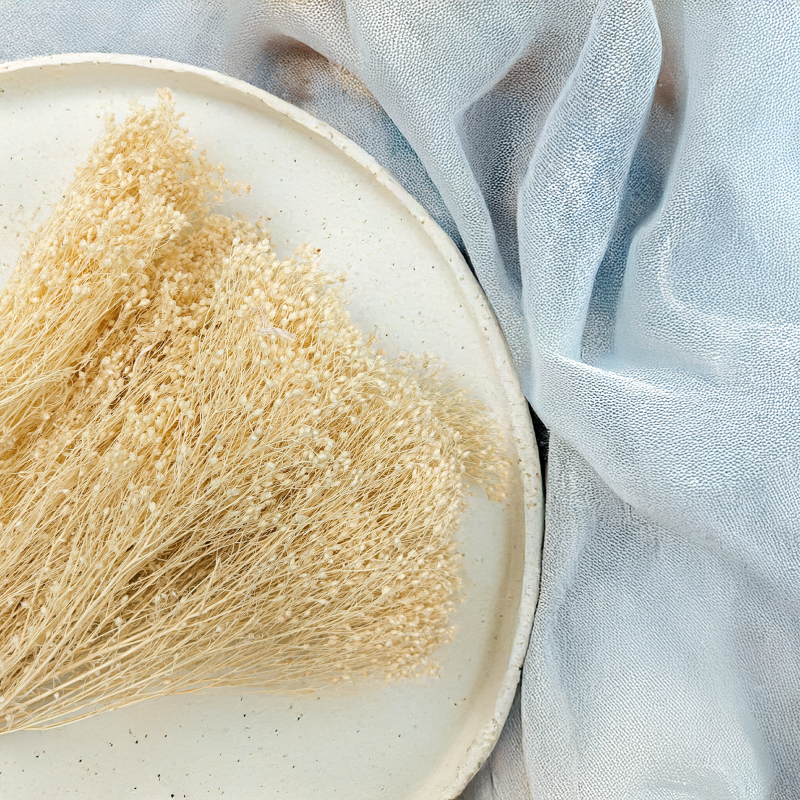 Broom Bloom Bielone zbl2.png