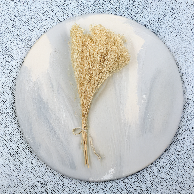 Broom Bloom Bielone zbl3.png