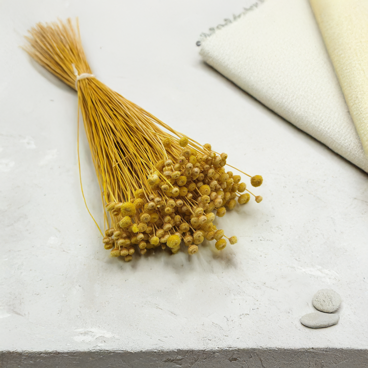 Botao Amarelino Żółte bukiet zbl3.png