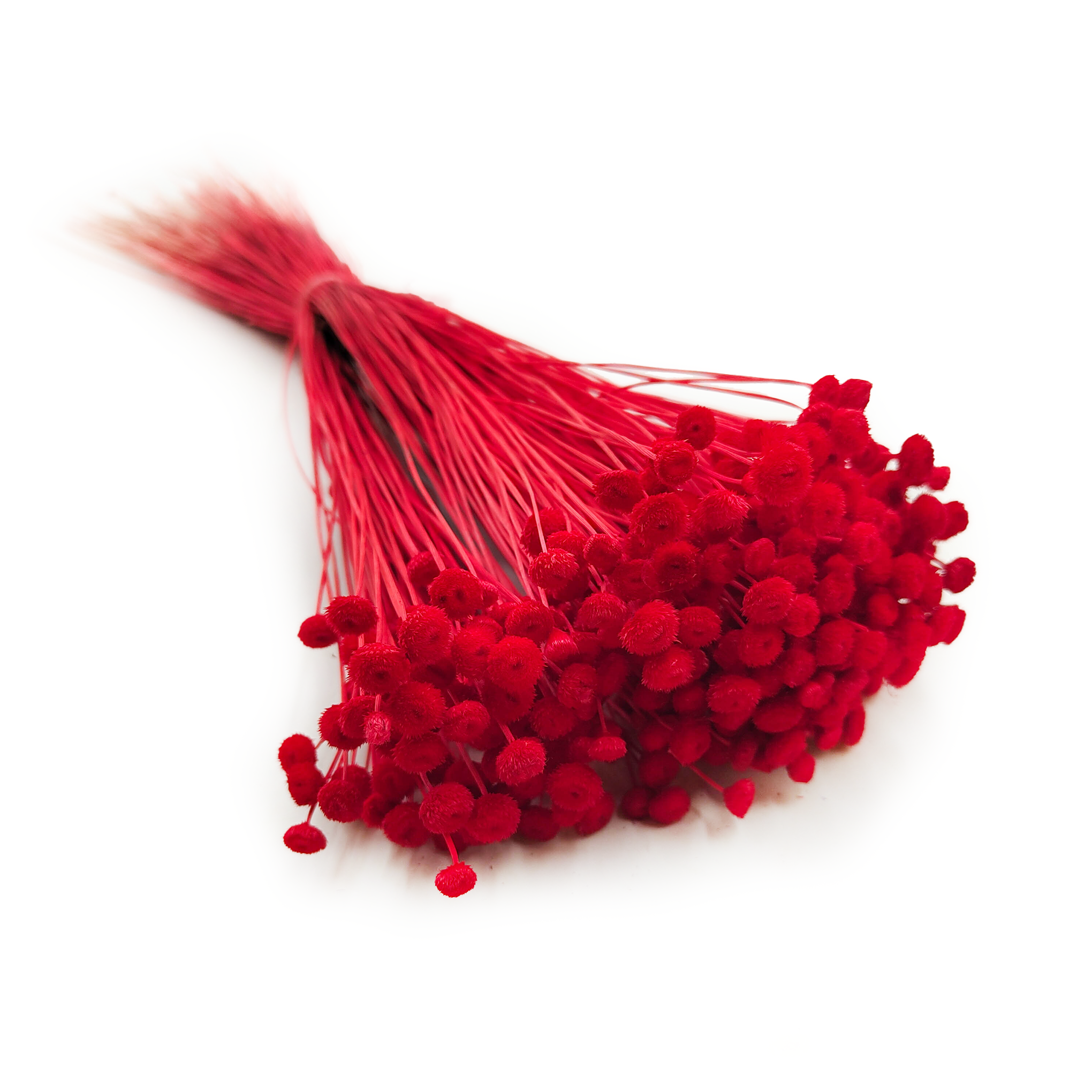 Botao Amarelino - (Amarelinho) - Red