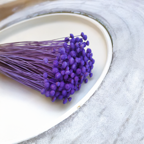 Botao Amarelino chabrowe bukiet zbl1.png