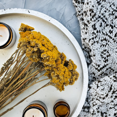 Krwawnik zółty naturalny suszony achillea zbl2.png