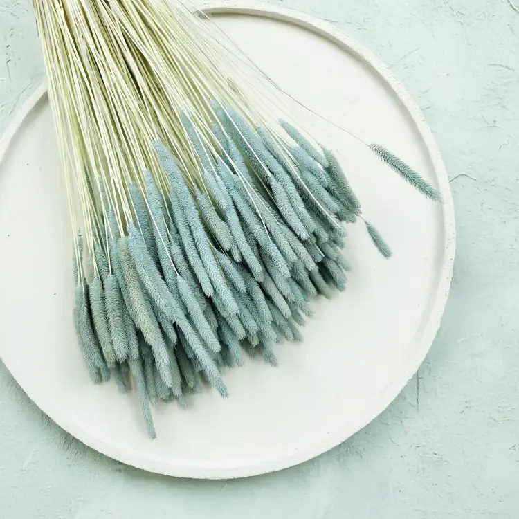 Trawa suszona Tymotka Mietowa zbl1.png