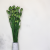 Papaver1.png