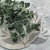 Espiral3.png
