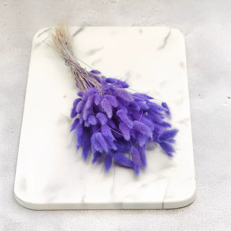 Lagurus Suszony dmuszek jajowaty Lila 5.png