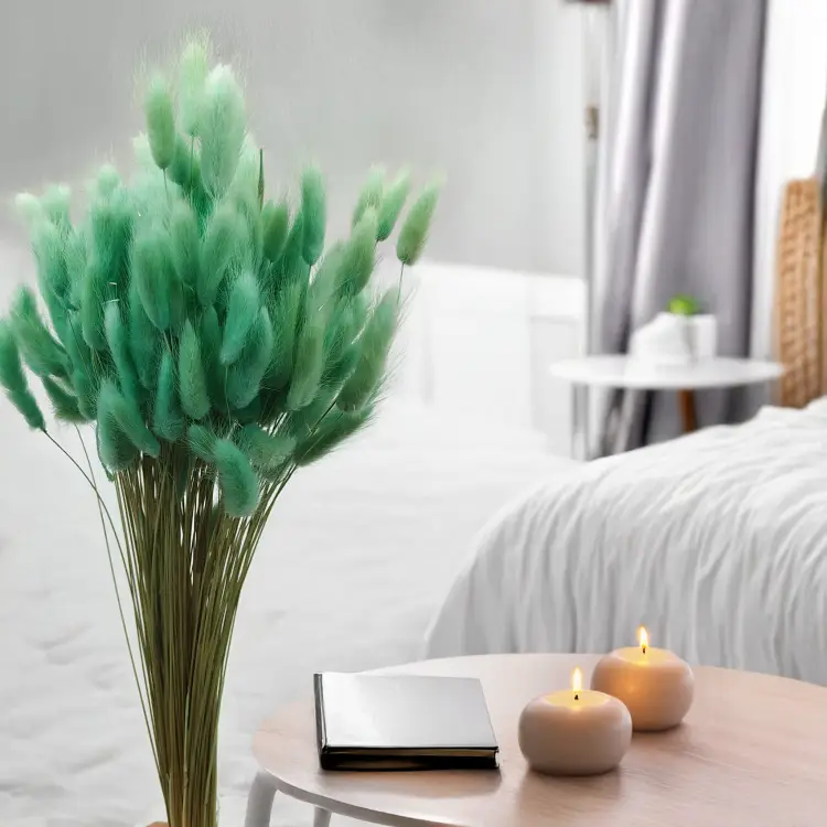 Lagurus Suszony dmuszek jajowaty mietowy 2.png