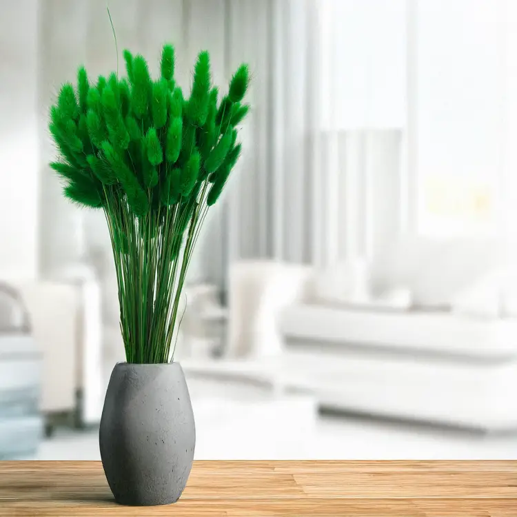 Lagurus Suszony dmuszek jajowaty Zielony 1.png