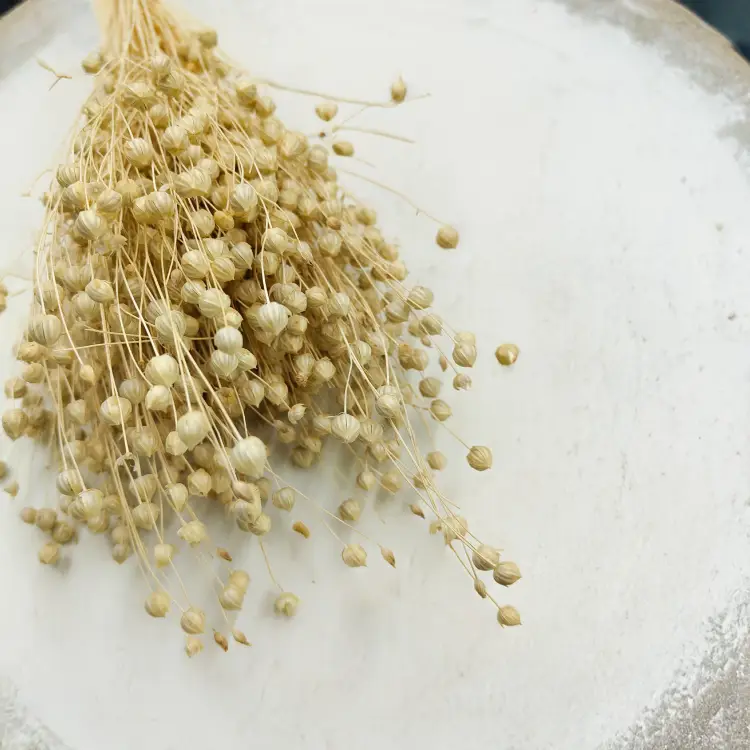 Len Suszony - Bielony 4.png