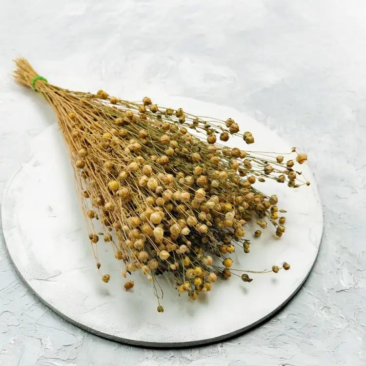 Len Suszony - Naturalny 3.png