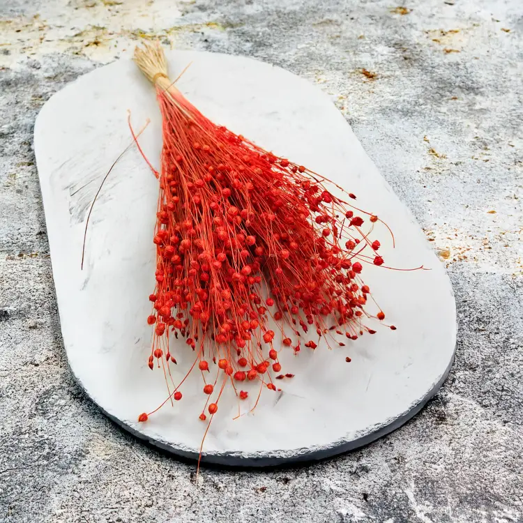 Len Suszony - Pomaranczowy 5.png