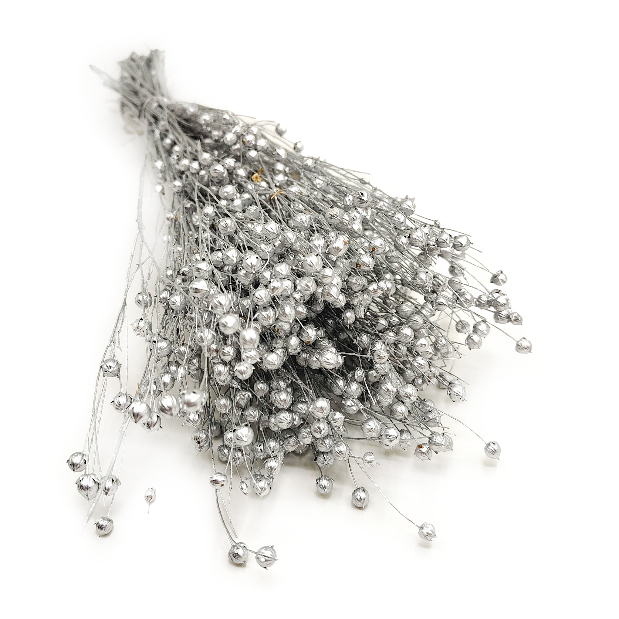 Dried Flax (Linum) - Silver