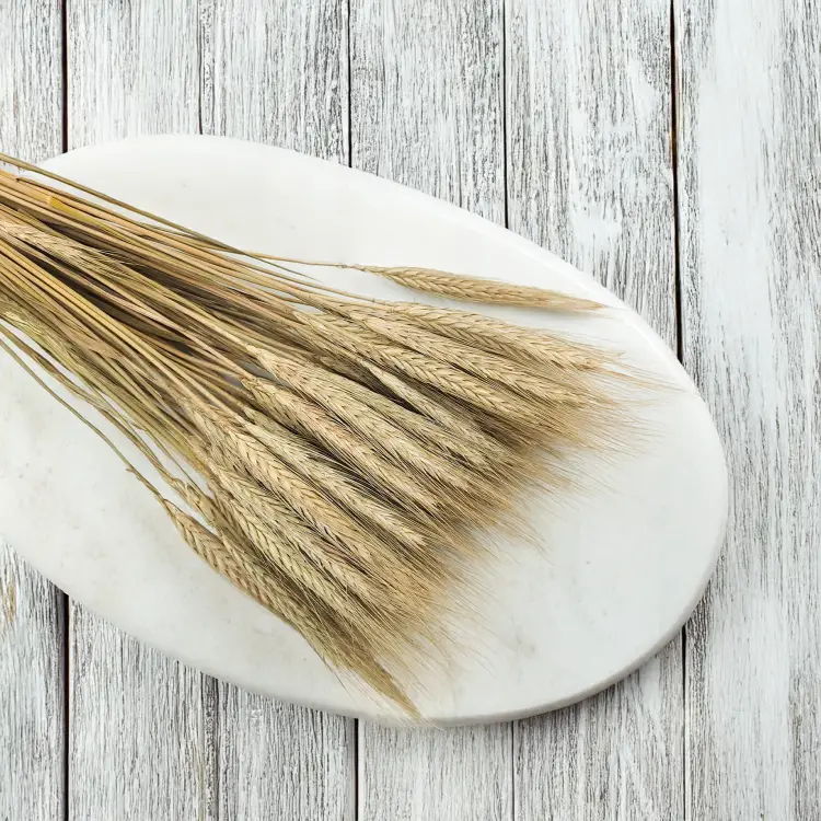 Suszone pszenżyto kłosy naturalne 5.png