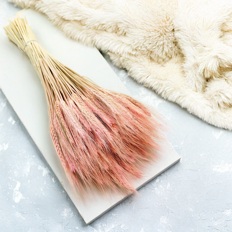 Pszenżyto suszone różowe triticale bukiet 5.png