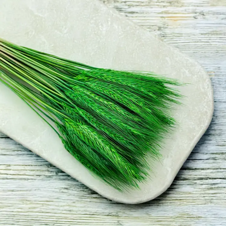 Pszenżyto zielone suszone kłosy bukiet 3.png