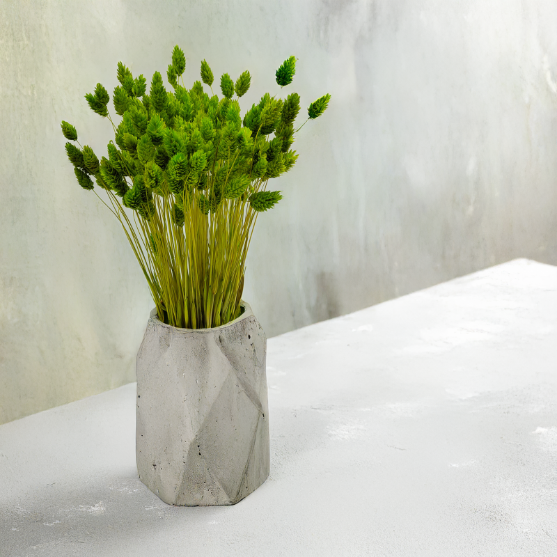 Suszony Phalaris - Kanar - (Mozga kanaryjska) - Seledynowy 1.png