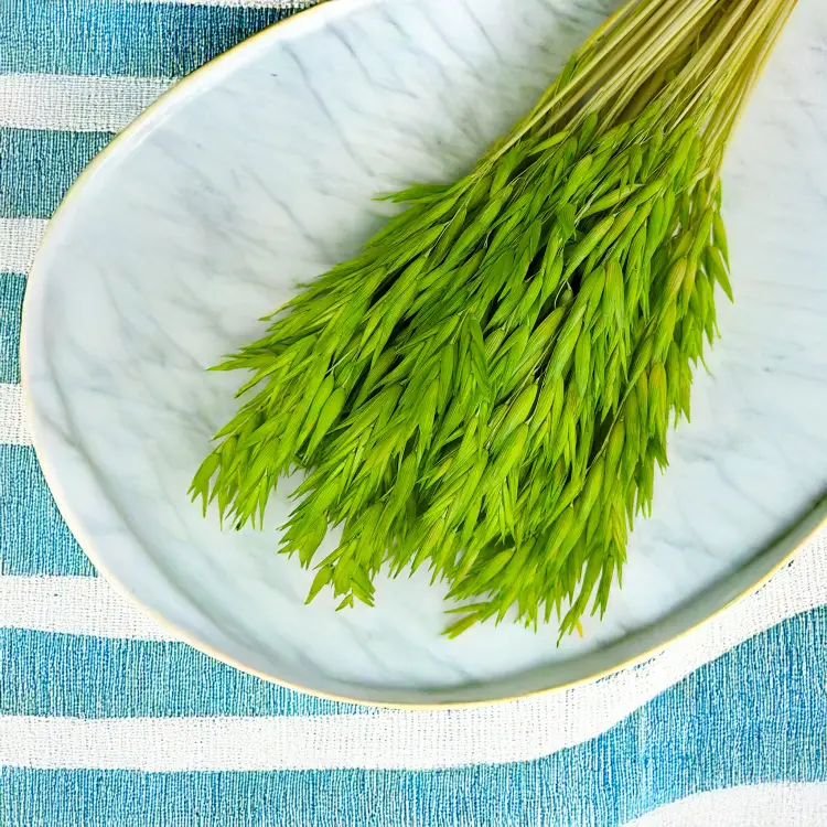 Owies suszony barwiony zielony 3.png