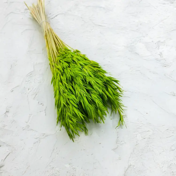 Owies suszony barwiony Jasnozielony seledynowy zielony.png