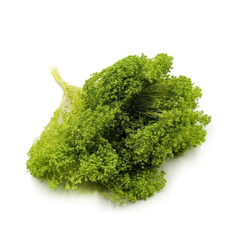 Broom Bloom zielony.jpg