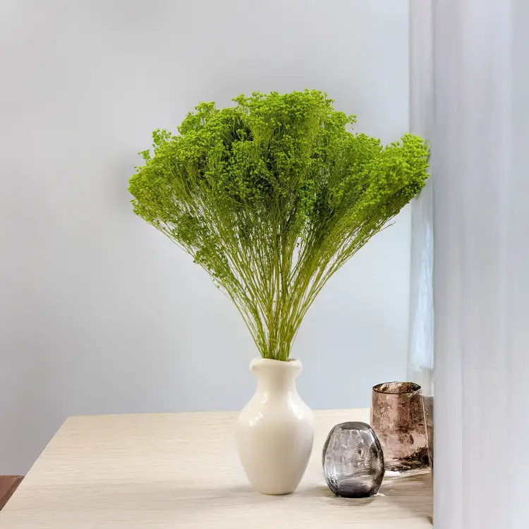 Broom Bloom zielony 4.jpg