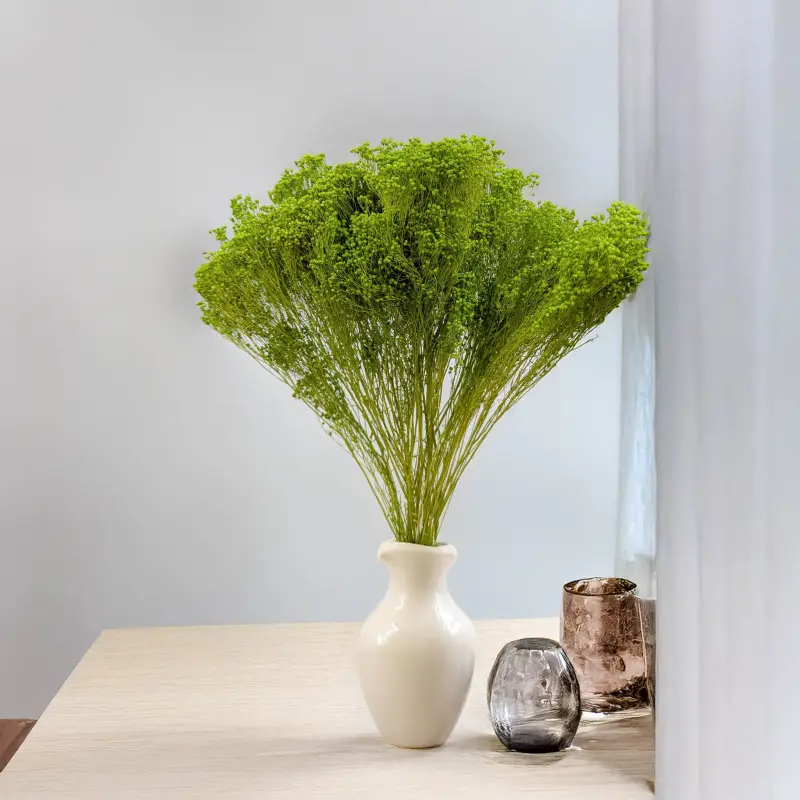 Broom Bloom zielony 4.jpg