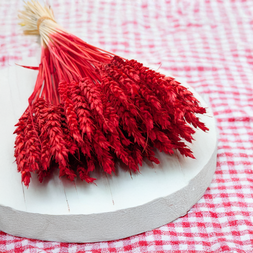 Pszenica suszona czerwona 1.png