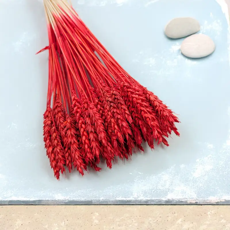 Pszenica suszona czerwona 3.png