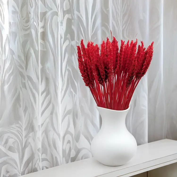 Pszenica suszona czerwona 4.png