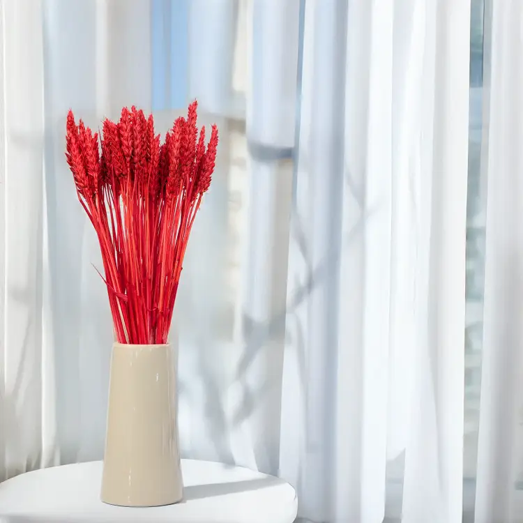 Pszenica suszona czerwona 5.png