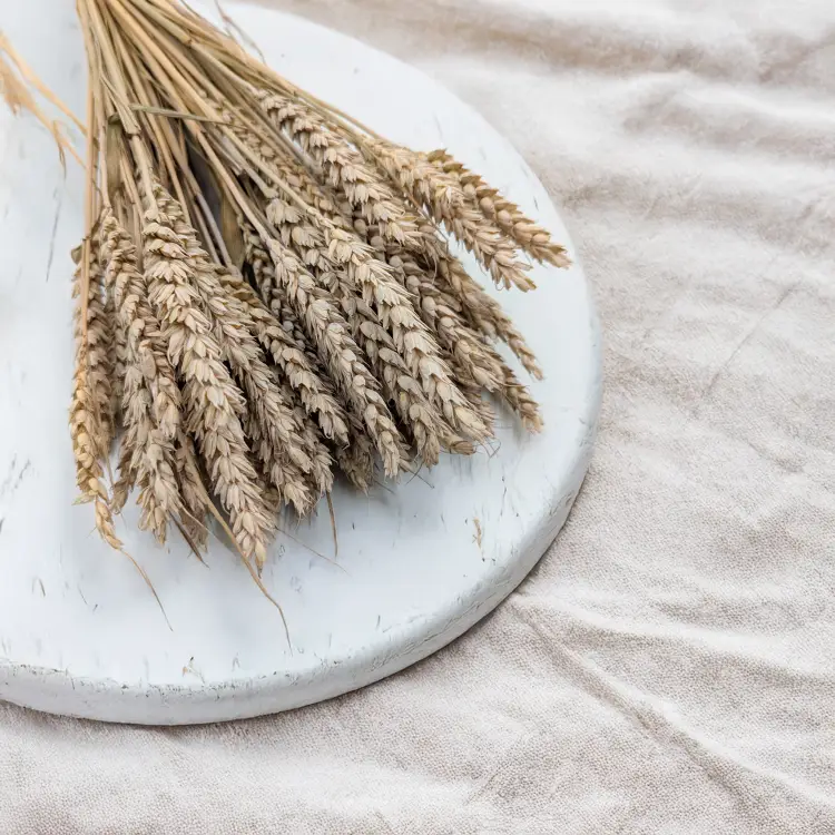 Pszenica suszona naturalna 2.png