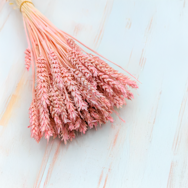 Pszenica suszona różowa 2.png