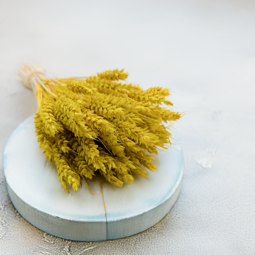 Pszenica suszona żółta 1.png