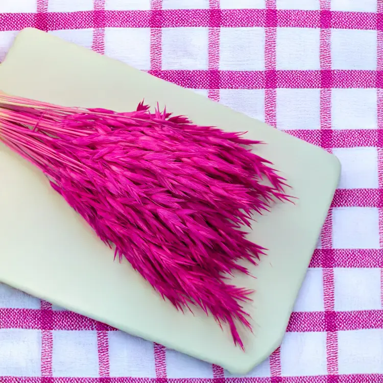 Owies suszony amarantowy 1.png