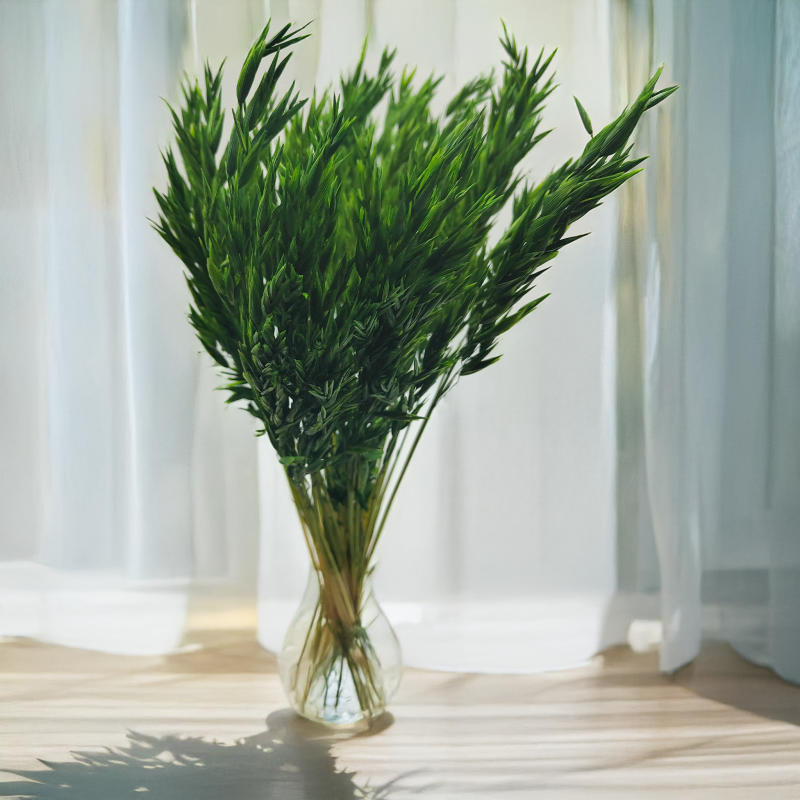 Owies suszony butelkowa zieleń 3.png