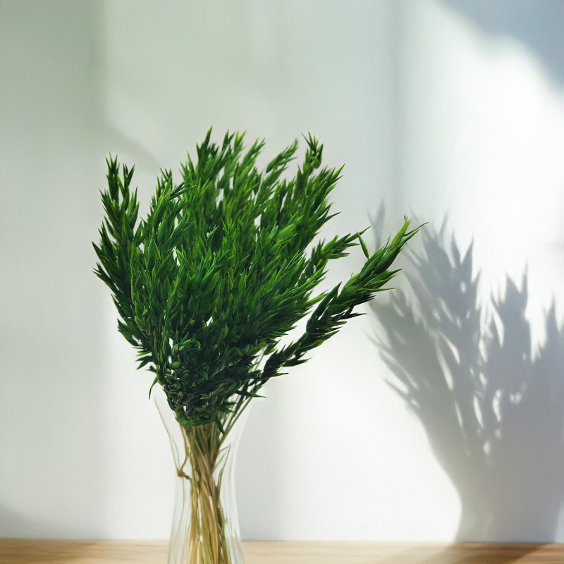 Owies suszony butelkowa zieleń 4.png