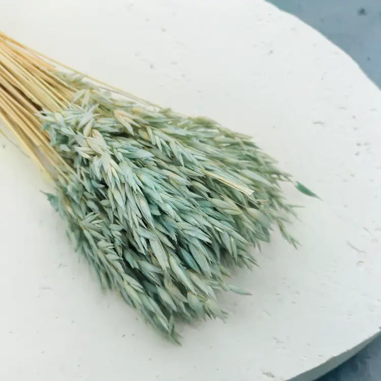 owies suszony miętowy 2.png