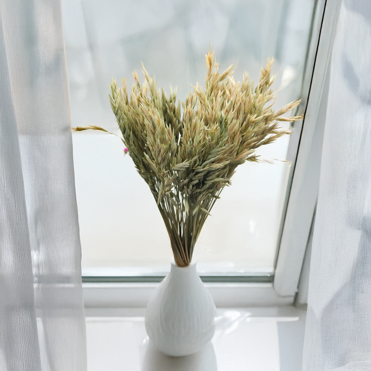 Owies suszony naturalny 3.png