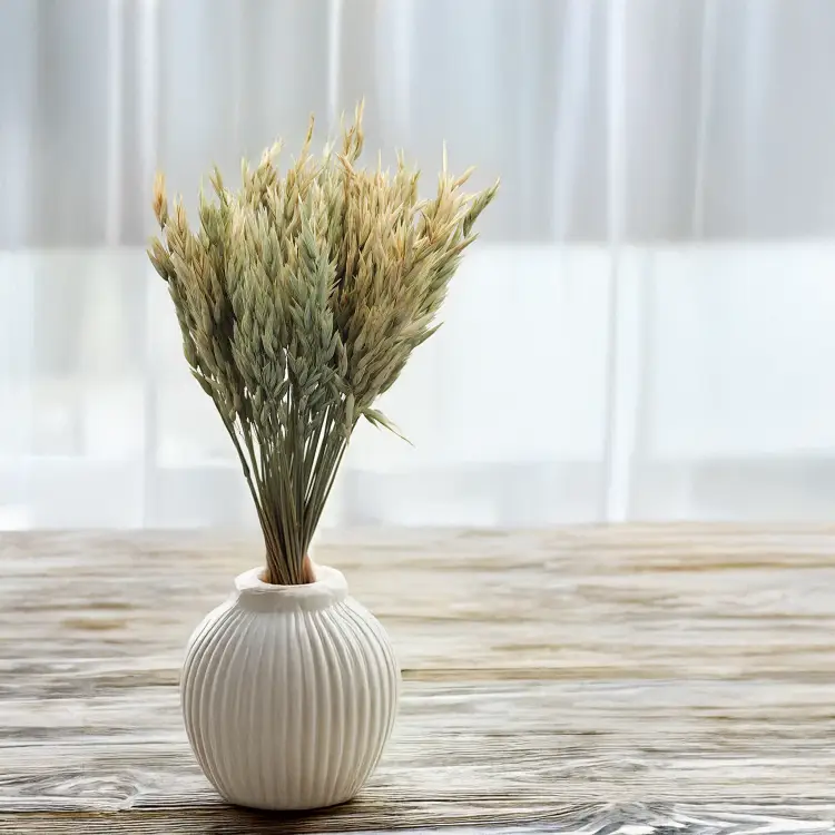 Owies suszony naturalny 4.png