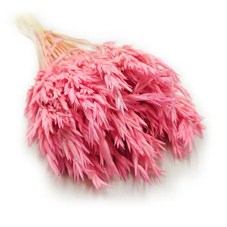 Owies suszony różowy 5.png